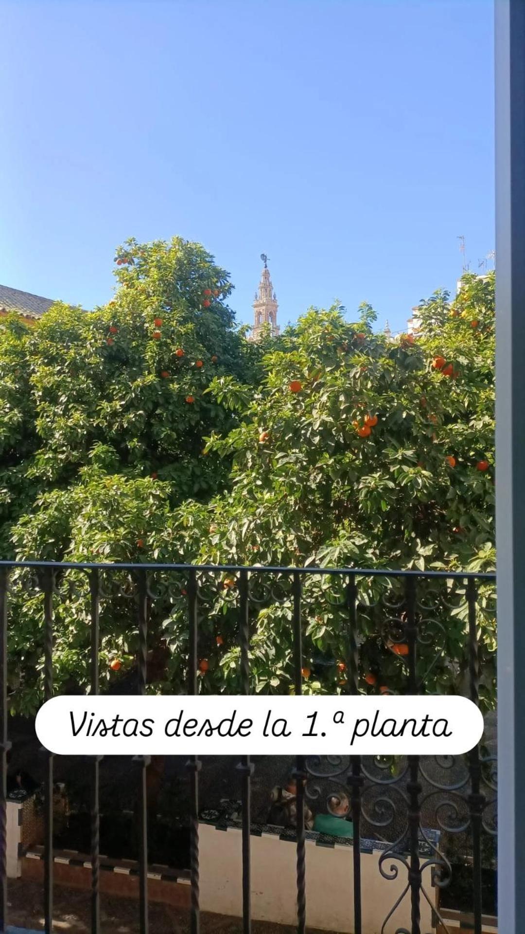 Apartamentos En La Plaza Dona Elvira, 7 إشبيلية المظهر الخارجي الصورة